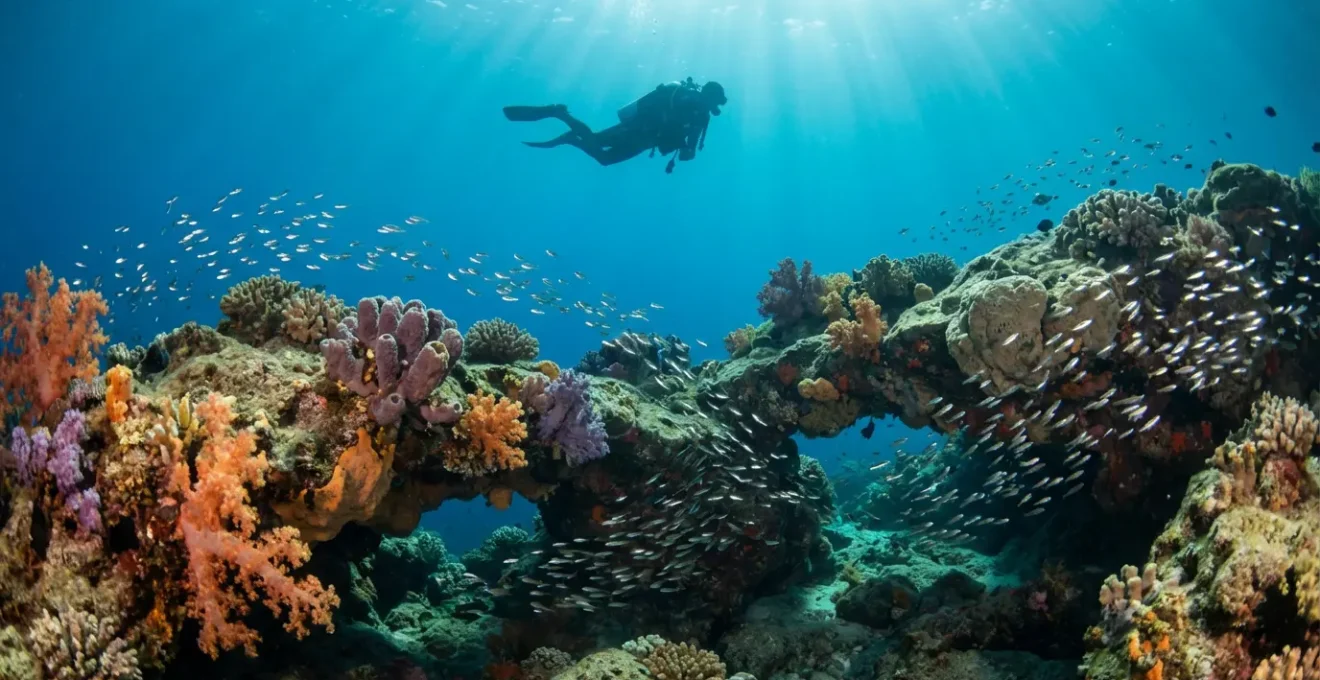 Plongeur explorant un récif corallien coloré dans les eaux cristallines de la Méditerranée tunisienne
