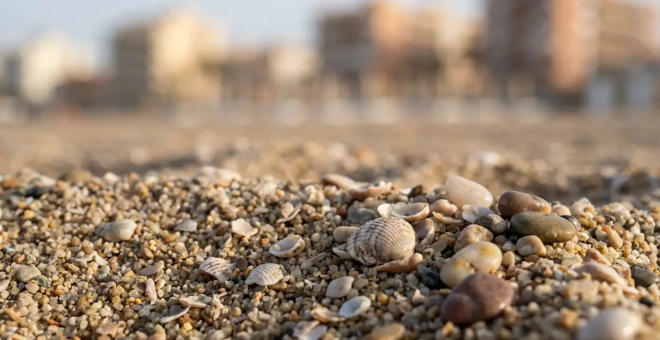 Vue aérienne d'une résidence côtière avec chemin vers la plage
